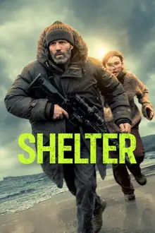 Stream Shelter on IPTV Profesional premium IPTV